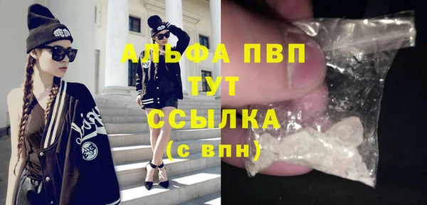 твердый Арсеньев