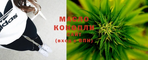 твердый Арсеньев