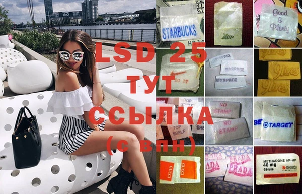 твердый Арсеньев