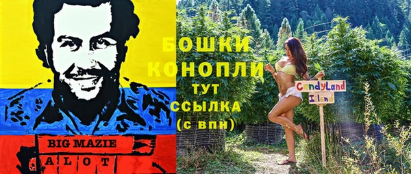 твердый Арсеньев