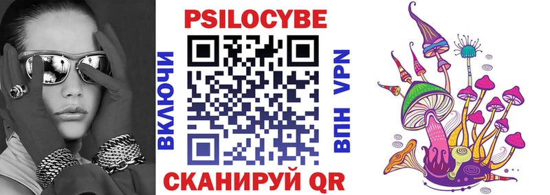 Псилоцибиновые грибы Psilocybine cubensis  Правдинск 